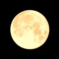 fullmoon